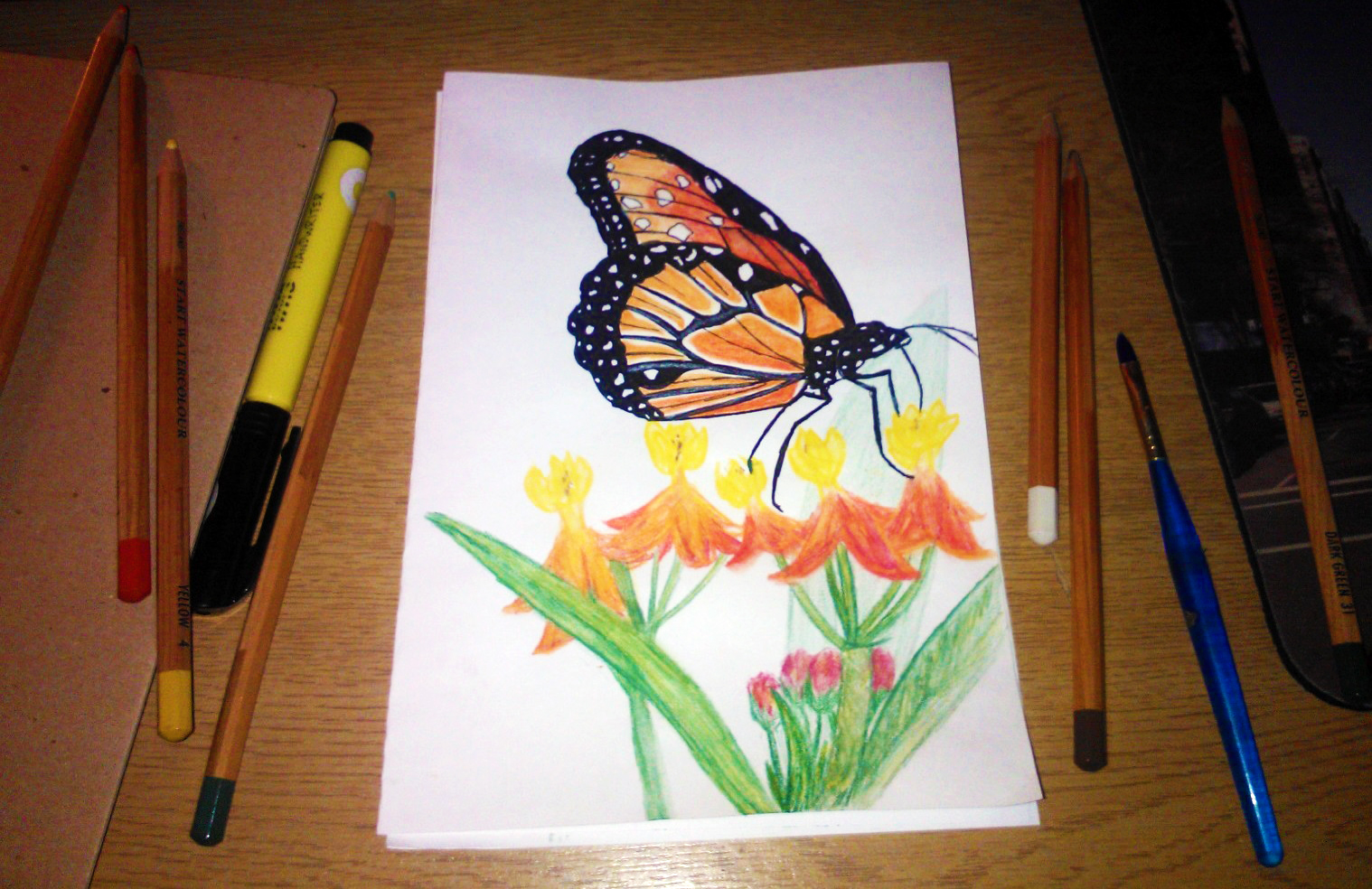 Butterfly and Work Station